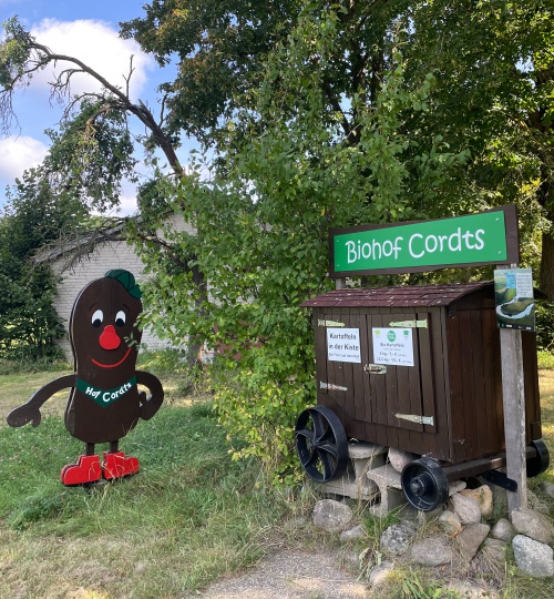 kartoffeln-in-der-kiste-bei-frost-auf-dem-hof